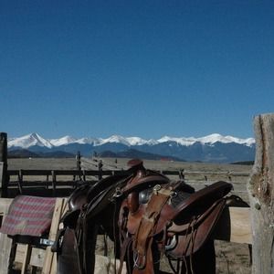 Meet your Posher, Douglas